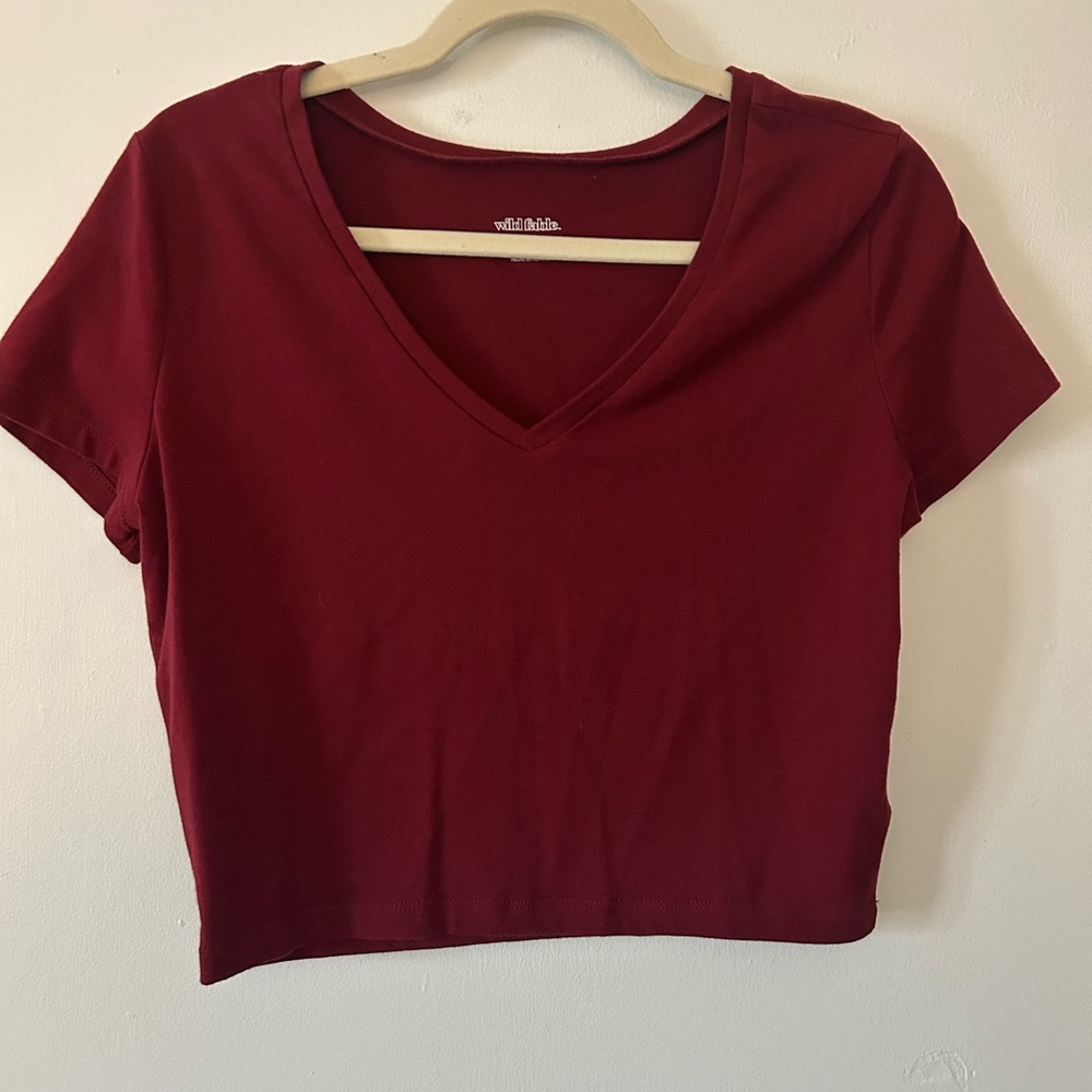 wild fable Burgundy V-Neck Crop Top